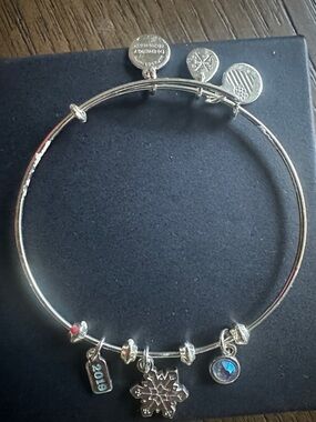 Alex and Ani 2019 Silver Snowflake and Blue Crystal Charm Bangle